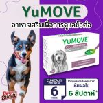 YuMOVE ADVANCE 360 for Dogs วิตามิน อาหารเสริมเพื่อการดูแลระบบข้อต่ออย่างครบถ้วนสำหรับสุนัข