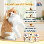 กล่อง 12 ซอง ✨ ครั้งแรกในโลก ใหม่!!! อาหารเปียกคานิว่าในไข่ตุ๋น "Kaniva Steam Egg" - Image 9