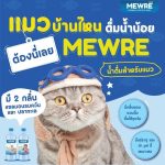 ปริมาตร 1000 มล. Mewre น้ำดื่มมิวเร่ น้ำดื่มสำหรับแมวโดยเฉพาะ มีการปรับค่า pH ให้เหมาะสมกับน้องแมว มีแร่ธาตุที่ดีต่อแมว - Image 4