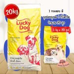 อาหารสุนัข Lucky Dog กระสอบ 20 กิโลกรัม สำหรับสุนัขอายุ 1 ปีขึ้นไป อร่อย คุ้มค่า ราคาประหยัด ลัคกี้ ด๊อก