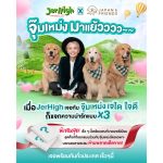 Set จุ๊มเหม่งเลือกให้แล้ว พี่จอง คัลแลน Jerhigh ใจฟู - Image 3