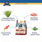 อาหารสุนัขบัซซ์  Buzz Beyond 1.2 KG. และ 1 KG. Gluten-free Premium Dog Food ถุงสวยและถุงแบ่ง - Image 6