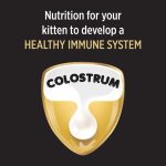 อาหารแมว Purina PRO PLAN® 1.5 กก. คิทเทนสตาร์เตอร์​ สูตรแซลมอนและทูน่า ชนิดเม็ด - Image 4