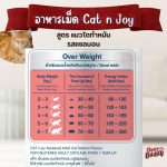 CAT n joy Neutered สูตรแมวทำหมัน รส Salmon 1.2kg อาหารแมว โปรตีนสูง ไขมันต่ำ ควบคุมน้ำหนัก แมวโต - Image 7