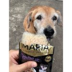 อาหารสุนัข Maria ยกกล่อง 12 ซอง (มีสูตรแพ้ไก่) คัดสรรวัตถุดิบระดับ HUMAN GRADE ได้รสเนื้อชิ้นๆ เต็มคำ - Image 2