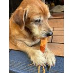 Dear Buddy ไก่พันทาโร่ 200 และ 400 กรัม ขนมสุนัข สันในไก่อบแห้ง ขนมหมา ของว่างสำหรับสุนัข ขนมน้องหมา - Image 2