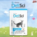 1 ซอง DeliSci Excella Cat อาหารฟื้นฟูสำหรับแมวป่วย และพักฟื้นหลังการผ่าตัด - Image 8