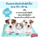 แผ่นเจลรองนอนคลายร้อน ขนาด 40x50 เซนติเมตร แผ่นเจลเย็น ที่นอนเย็น เบาะนอนเย็น สำหรับสุนัขและแมว - Image 3