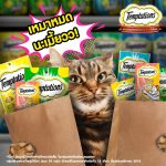 Temptations Crunchy Cat Snack เทมเทชันส์ ขนมแมวสอดไส้ กรอบนอกนุ่มใน บรรจุ 75 กรัม - Image 3