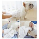 Petcho ถุงมืออาบน้ำแมว ถุงมืออาบน้ำสุนัข ถุงมือเช็ดตัว ถุงมือทิชชู่เปียก ใช้งานง่าย ไม่ระคายเคืองผิว ดับกลิ่น - Image 4