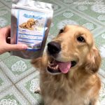 ชงได้ในน้ำเย็น🧡 นมแพะผง Dear Buddy 150 กรัม นมแพะผงสำหรับสัตว์เลี้ยง - Image 2