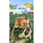 ขนมขัดฟันสุนัข ขัดฟันสุนัข ขัดฟันน้องหมา ขัดฟันหมา ของเล่นสุนัข โดนัท - Image 2