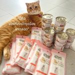 ChooChoo ขูชู อาหารเสริมบำรุงแมว 1 กระป๋อง สมูทตี้บำรุงแมว ทานง่าย หอม อร่อย 80 กรัม - Image 3