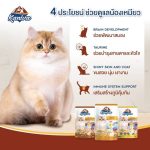 คละรสชาติ สำหรับน้องแมวอายุ 4 เดือนขึ้นไป Kaniva อาหารเปียกแมว ยกกล่อง 12 ซอง อาหารแมวคานิว่า เนื้อปลาทูน่าเน้นๆ - Image 4