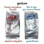 อาหารเม็ดสำหรับแมวทุกช่วงวัย Kaniva 1 KG. อาหารแมว  เน้นตัวโต บำรุงผิวหนังและขน - Image 4