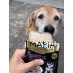 อาหารสุนัข Maria 1 ซอง (มีสูตรแพ้ไก่) คัดสรรวัตถุดิบระดับ HUMAN GRADE ได้รสเนื้อชิ้นเต็มคำ แล้วยังอุดมไปด้วยคุณประโยชน์ - Image 2
