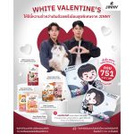 อาหารแมว Jinny ราคา 751 บาทต่อเซ็ต เซ็ต White valentines's หมอนซุกมือลายพี่จองกับคัลแลน