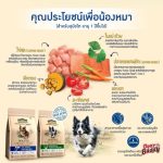 Perfecta Holistic Grain Free อาหารสุนัข เกรดพรีเมียม ไม่มีธัญพืช สูตรไก่ / สูตรปลา (อายุ 1 ปีขึ้นไป) - Image 2