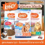 อาหารแมว Kandy Cat Food น้ำหนัก 1.5 kg และตัวอย่างสินค้า 30 กรัม ไม่เติมเกลือและน้ำตาล อาหารแมวแคนดี้