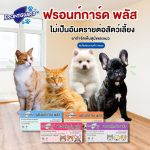 Frontguard Plus สำหรับสุนัข ผลิตภัณฑ์กำจัดหมัดและไข่หมัด ไม่เป็นอันตรายต่อสัตว์เลี้ยง - Image 8