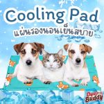 แผ่นเจลรองนอนคลายร้อน ขนาด 40x50 เซนติเมตร แผ่นเจลเย็น ที่นอนเย็น เบาะนอนเย็น สำหรับสุนัขและแมว