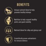 อาหารแมว Purina PRO PLAN® 1.5 กก. สูตร แมวโต สูตรปลาแซลมอน Adult Salmon - Image 4