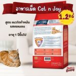 CAT n joy Neutered สูตรแมวทำหมัน รส Salmon 1.2kg อาหารแมว โปรตีนสูง ไขมันต่ำ ควบคุมน้ำหนัก แมวโต - Image 3