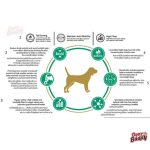 Dog Perfecta สูตร Weight Management อาหารสุนัข 1.5kg สูตรลดน้ำหนัก จำกัดไขมันคาร์โบไฮเดรต ไฟเบอร์สูง - Image 3