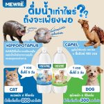 ปริมาตร 1000 มล. Mewre น้ำดื่มมิวเร่ น้ำดื่มสำหรับแมวโดยเฉพาะ มีการปรับค่า pH ให้เหมาะสมกับน้องแมว มีแร่ธาตุที่ดีต่อแมว - Image 3