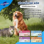 Frontguard Plus สำหรับสุนัข ผลิตภัณฑ์กำจัดหมัดและไข่หมัด ไม่เป็นอันตรายต่อสัตว์เลี้ยง - Image 5