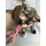 Kitty Licks 1 กล่อง บรรจุ 30 ซอง ขนมแมวเลีย ขนมแมว แมวเลีย แมว ขนมน้องแมว - Image 2