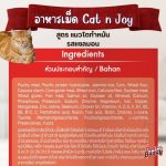 CAT n joy Neutered สูตรแมวทำหมัน รส Salmon 1.2kg อาหารแมว โปรตีนสูง ไขมันต่ำ ควบคุมน้ำหนัก แมวโต - Image 5
