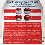 CAT n joy Neutered สูตรแมวทำหมัน รส Salmon 1.2kg อาหารแมว โปรตีนสูง ไขมันต่ำ ควบคุมน้ำหนัก แมวโต - Image 8