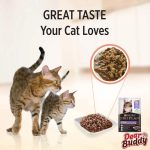 PRO PLAN® อาหารแมวชนิดเปียก สำหรับลูกแมว รสแซลมอน/แมวโต สูตรฟัซซี่ & บิวตี่ 85 ก. x 1 ซอง - Image 6