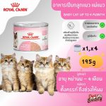 Royal Canin Mother & Babycat Mousse กระป๋อง 195 กรัม (โรยัล คานิน) อาหารเปียกเนื้อมูส สำหรับแม่แมว (ตั้งท้อง-ให้นม)
