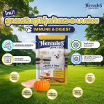 Hercules Jerky Stick ขนมสุนัข ขนมขัดฟันสุนัข 70g เนื้อไก่แท้ เกรนฟรี บำรุงข้อ บำรุงขน เสริมภูมิ - Image 4