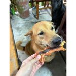 สันในไก่อบแห้ง 200 กรัม ขนมสุนัขแสนอร่อย สันในไก่หน้าตับหมูอบแห้ง รวมความฟินทั้งไก่ทั้งตับ อร่อยดี มีประโยชน์ ขนมสุนัข - Image 4