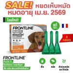 หมดอายุ เม.ย.68 FRONTLINE PLUS DOG Size S น้ำหนักไม่เกิน 10 kg ฟรอนท์ไลน์ พลัส หยดกำจัดเห็บหมัด สำหรับสุนัข