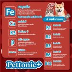 Pettonic Petme อาหารเสริม วิตามินบำรุงเลือด ชนิดเม็ด รสตับ ทานง่าย สำหรับสุนัขทุกสายพันธุ์ (40 เม็ด/ กระปุก) - Image 3