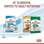 Royal Canin Mini Puppy 800g อาหารเม็ดลูกสุนัข พันธุ์เล็ก 2-10 เดือน (โรยัล คานิน) - Image 4