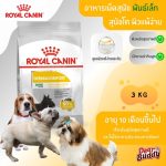 Royal Canin Mini Dermacomfort 3 kg โรยัล คานิน อาหารเม็ด สุนัขพันธุ์เล็ก อายุ 10 เดือนขึ้นไป ผิวแพ้ง่าย ระคายเคืองง่าย