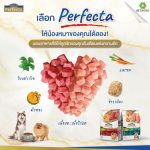 Perfecta อาหารสุนัข เกรดพรีเมียม กระสอบ สูตรลูกสุนัข & สุนัขพันธุ์เล็ก รสไก่ รสเนื้อ ผสมข้าวกล้อง ไม่เค็ม โดย Betagro - Image 2