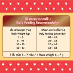 Bingostar Yummy Stick (500 กรัม) ขนมสุนัข ขนมหมา แบบแท่ง [เลือกรสได้] บำรุงขน เสริมกระดูก - Image 4