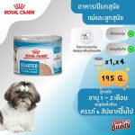 Royal Canin Starter Mousse (โรยัล คานิน) อาหารเปียกแบบมูส สำหรับแม่สุนัขและลูกสุนัข