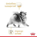 Royal Canin Pomeranian Adult 3kg อาหารสุนัขโต อาหารหมาปอม โรยัล คานิน สำหรับพันธุ์ปอมเมอเรเนียน อายุ 8 เดือนขึ้นไป - Image 2