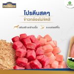 Perfecta อาหารสุนัข เกรดพรีเมียม กระสอบ สูตรลูกสุนัข & สุนัขพันธุ์เล็ก รสไก่ รสเนื้อ ผสมข้าวกล้อง ไม่เค็ม โดย Betagro - Image 3