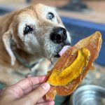 ขนมสุนัข สันในไก่หน้าฟักทองอบแห้ง 400 กรัม ขนมหมา ไก่อบแห้ง สันในไก่อบแห้ง - Image 3