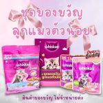 ชุดของขวัญลูกแมวตัวน้อย Whiskas