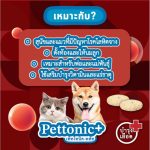 Pettonic Petme อาหารเสริม วิตามินบำรุงเลือด ชนิดเม็ด รสตับ ทานง่าย สำหรับสุนัขทุกสายพันธุ์ (40 เม็ด/ กระปุก) - Image 4