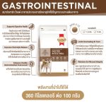 Smartheart Gold อาหารสุนัข 3 กิโลกรัม สูตร Weight Management, Urinary, Gastrointestinal และ Renal - Image 7